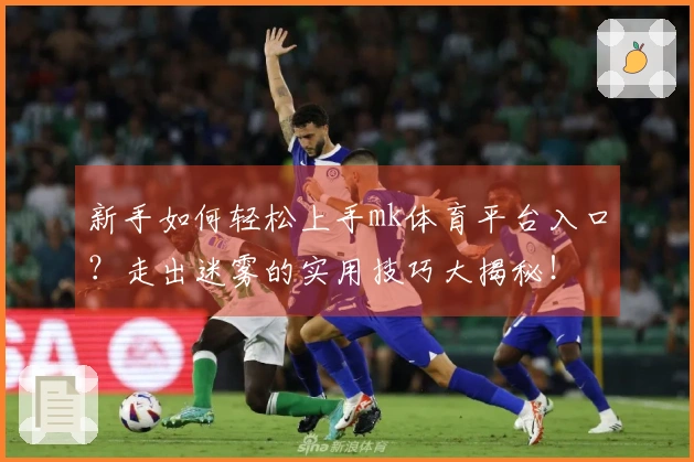 新手如何轻松上手mk体育平台入口？走出迷雾的实用技巧大揭秘！